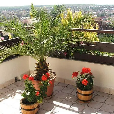 Апартаменты Apartmanhaz Zalanki Эгер